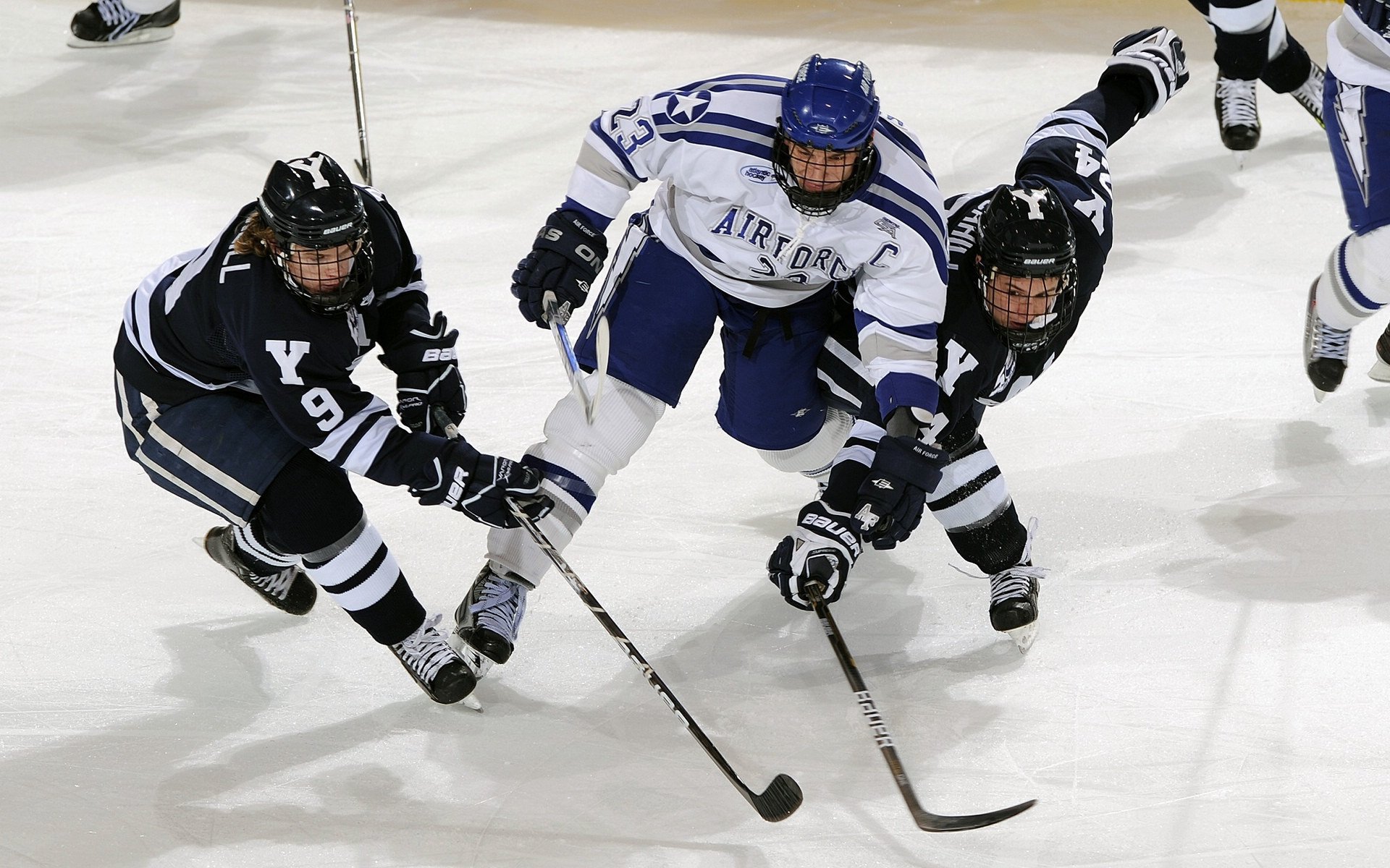 中小学体育教师专业发展支持策略，中小学体育教师专业发展支持策略研究